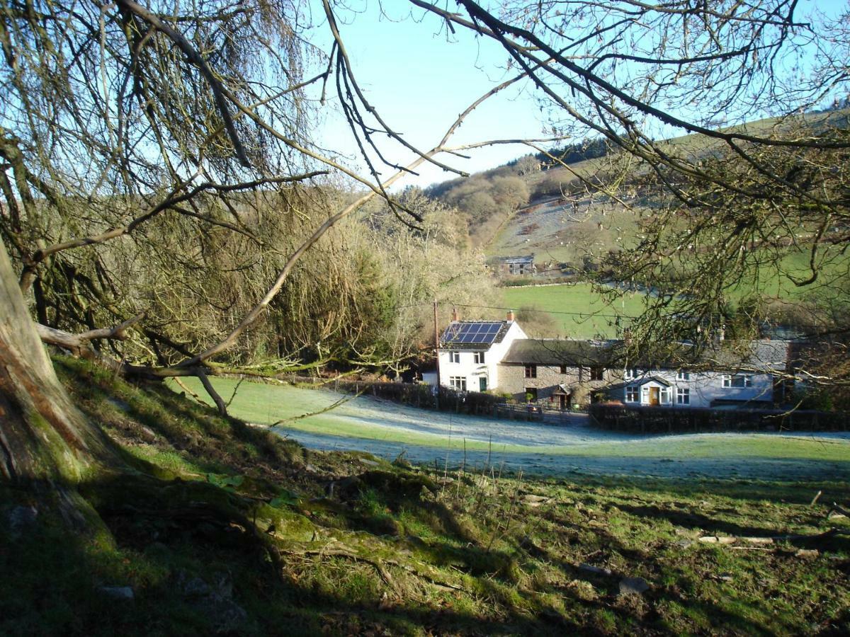 Rose Cottage Dutlas Knighton  Exteriör bild